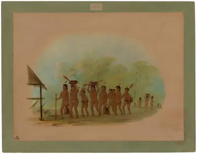 Return from a Turtle Hunt - Connibo