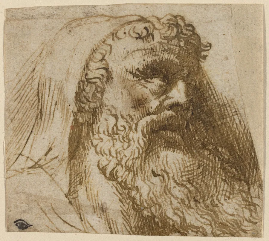 Head of a Man by Domenico Campagnola