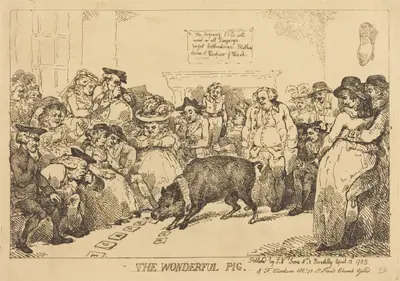 The Wonderful Pig