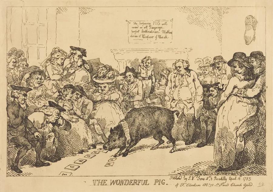 The Wonderful Pig by Thomas Rowlandson
