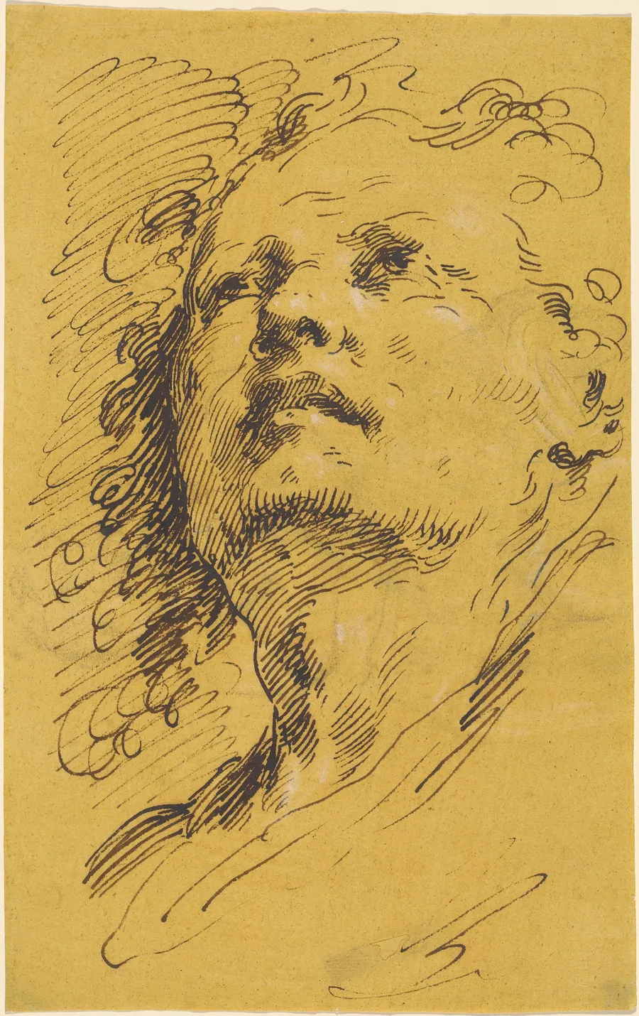 Head of a Man Looking Up by Pietro Antonio Novelli