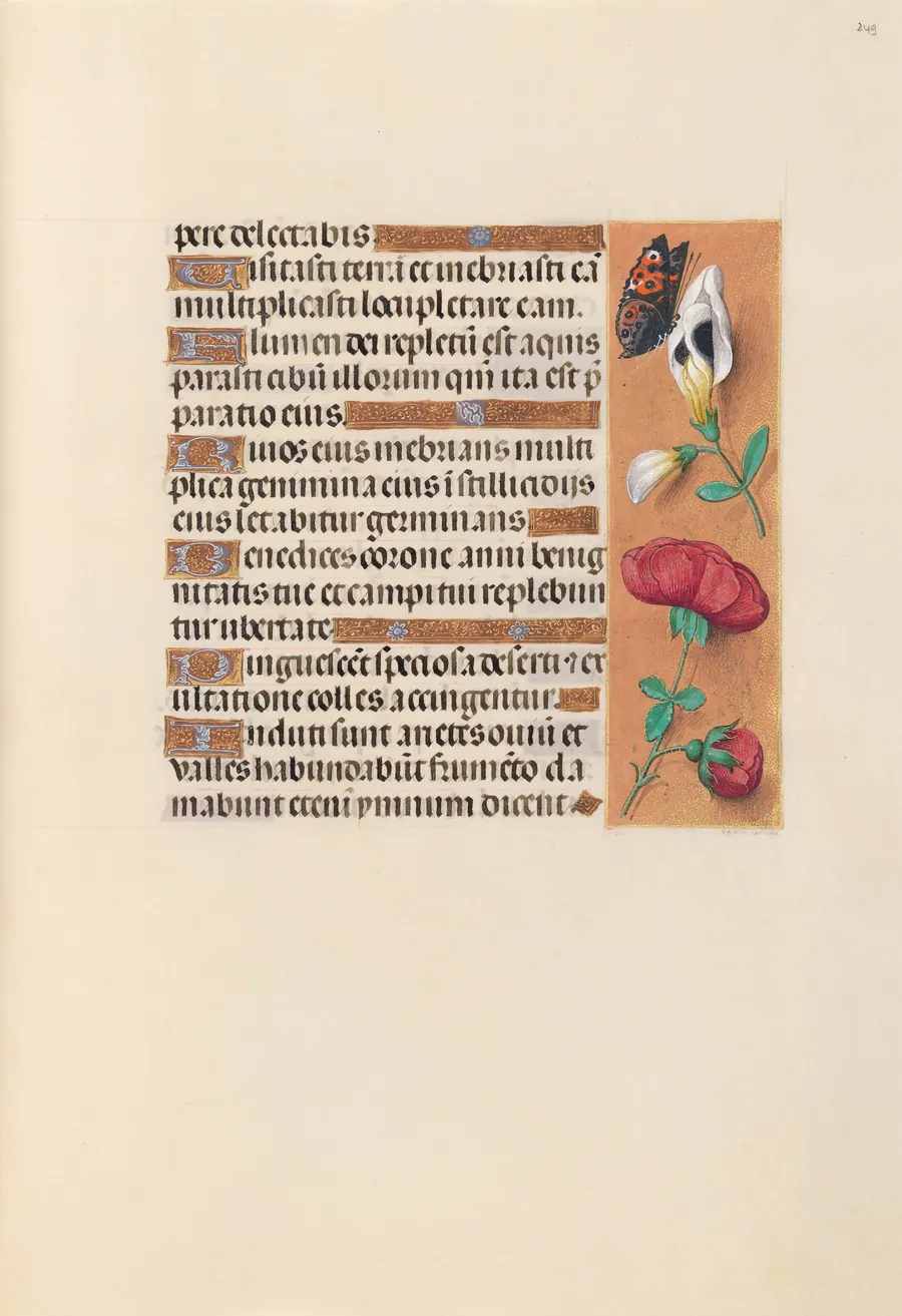 Hours of Queen Isabella the Catholic, Queen of Spain:  Fol. 249r by Master of the First Prayerbook of Maximillian