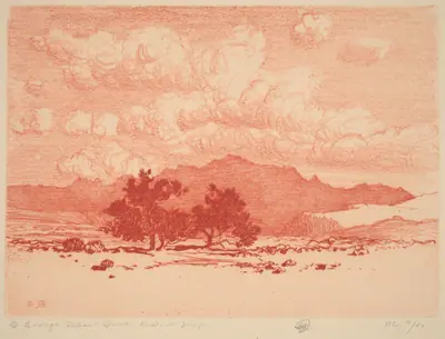 Palo Verde Trees