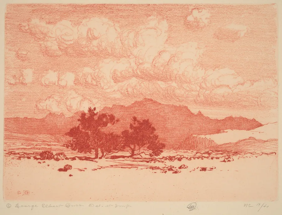 Palo Verde Trees by George Elbert Burr