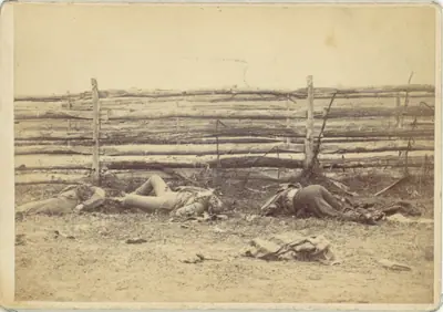 View in the Field, On the West Side of the Hagerstown Road, After the Battle of Antietam, Maryland, September 1862