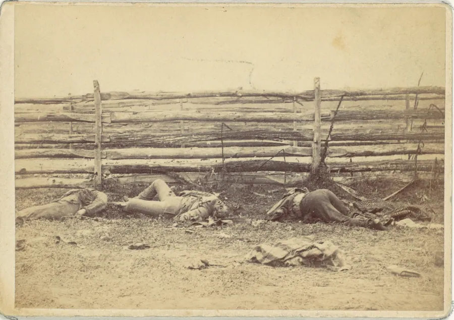 View in the Field, On the West Side of the Hagerstown Road, After the Battle of Antietam, Maryland, September 1862 by Alexander Gardner