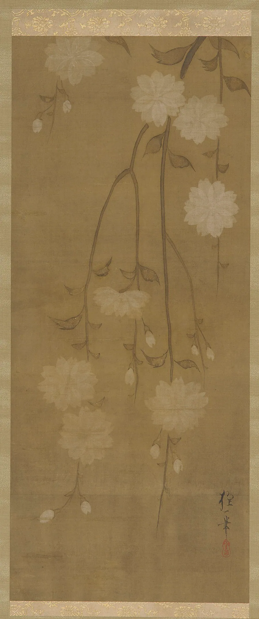 Drooping cherry branches in blossom by Attributed to Sakai Hoitsu 酒井抱一 (1761-1828)