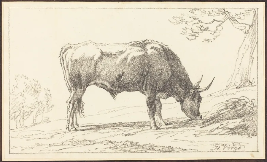 A Young Bull Grazing by Hendrik Voogd