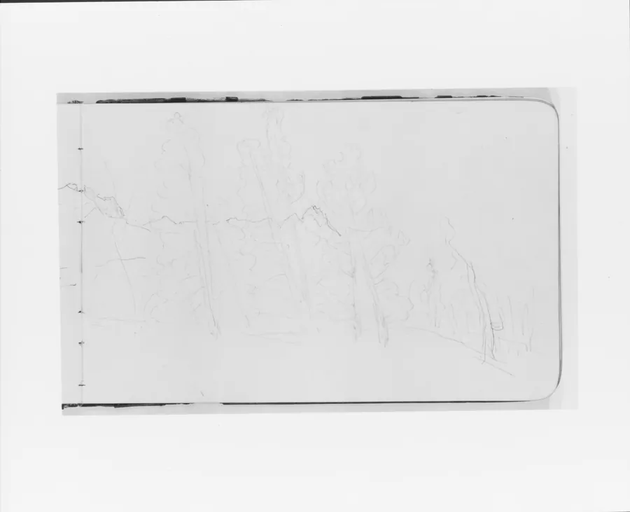 Mountain Landscape with Foreground Trees (from Sketchbook) by Albert Bierstadt