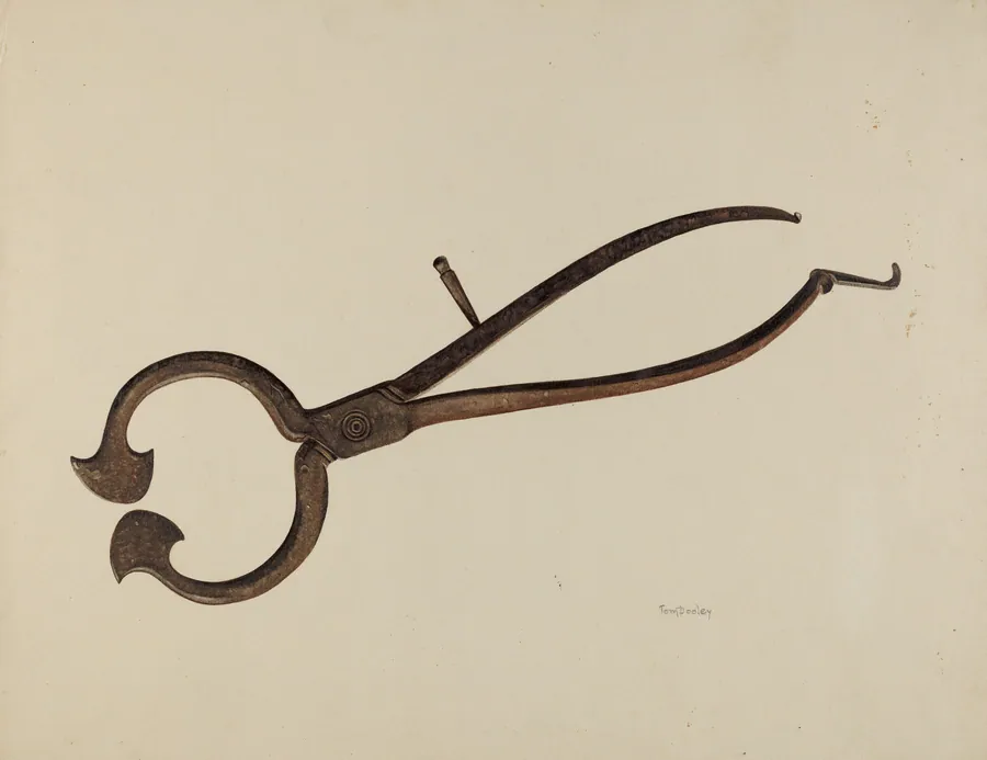 Loaf Sugar Cutter by Thomas Dooley