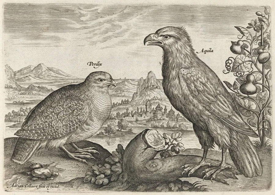 Partridge and Eagle by Adriaen Collaert