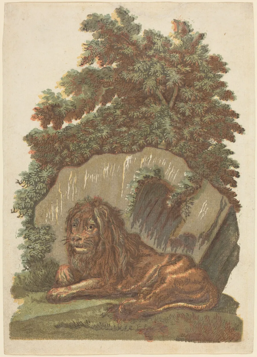 The Lion by John Baptist Jackson