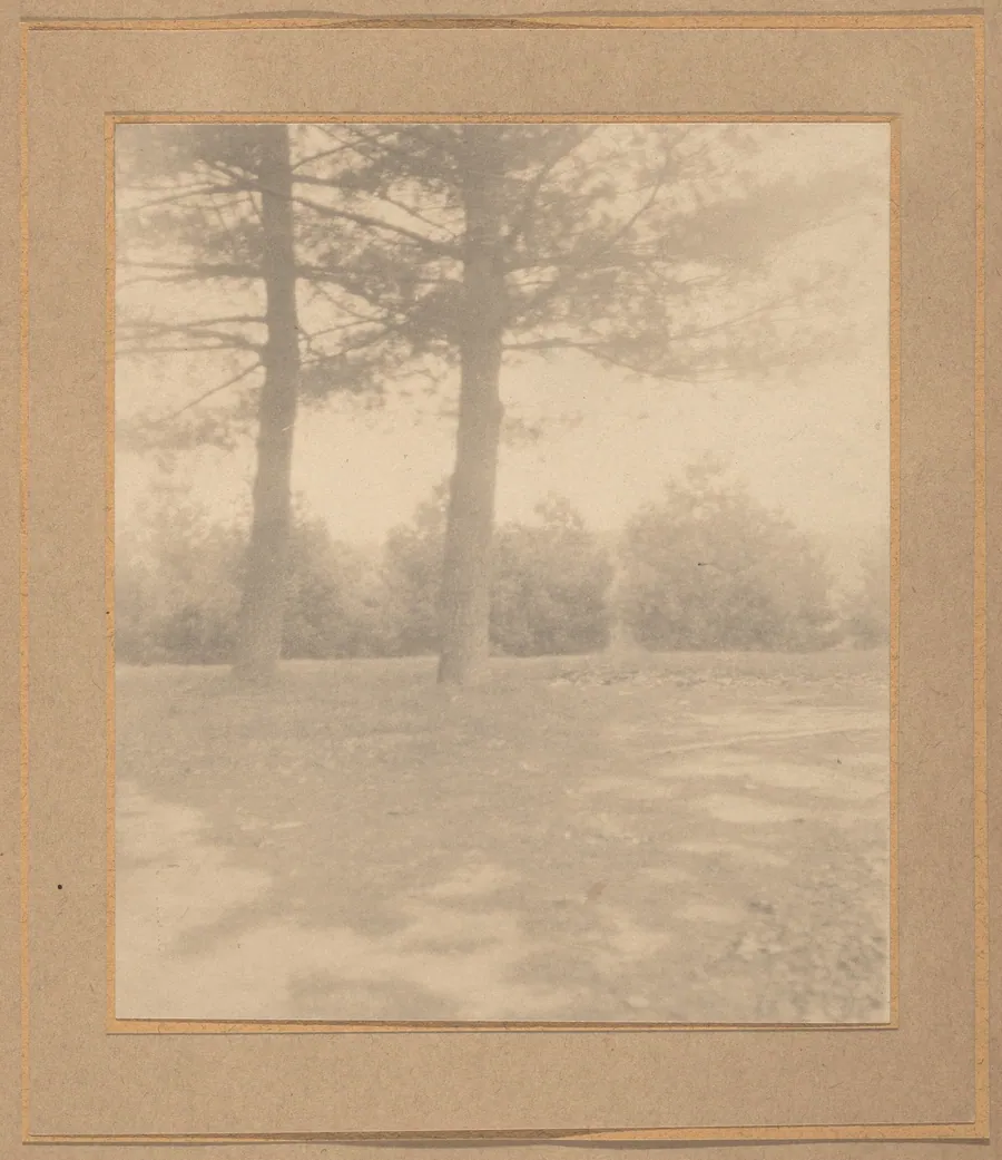 Landscape with trees by Joseph T. Keiley