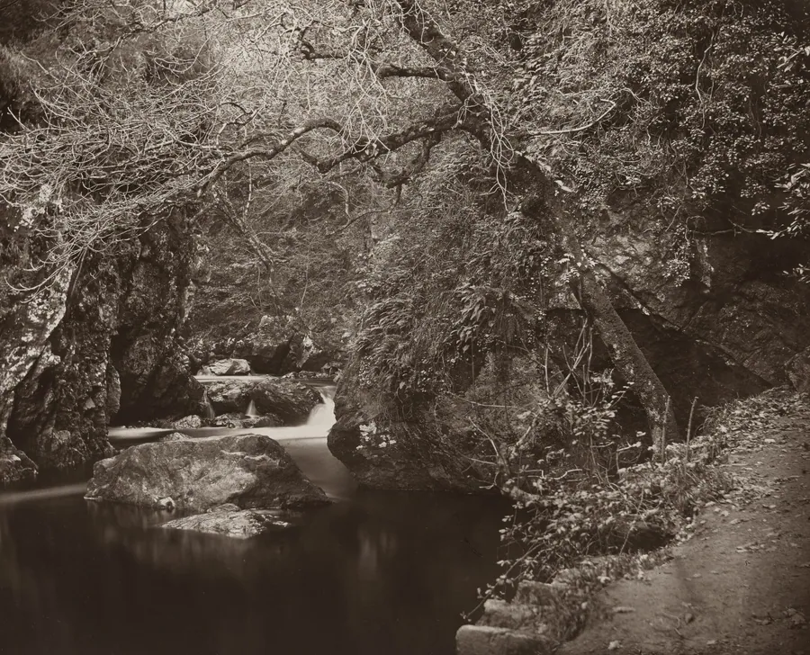 The Dargle Hole by Thomas Marcus Brownrigg