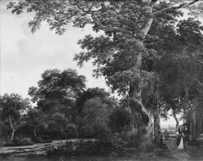 Ege-alléen