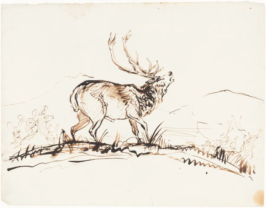 A Bellowing Stag by Sir Edwin Landseer