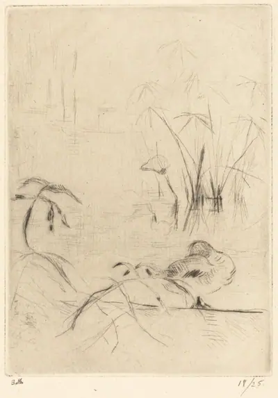 Ducks at Rest on the Bank