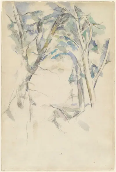 Trees Leaning over Rocks