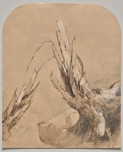 A Blasted Tree (recto)
