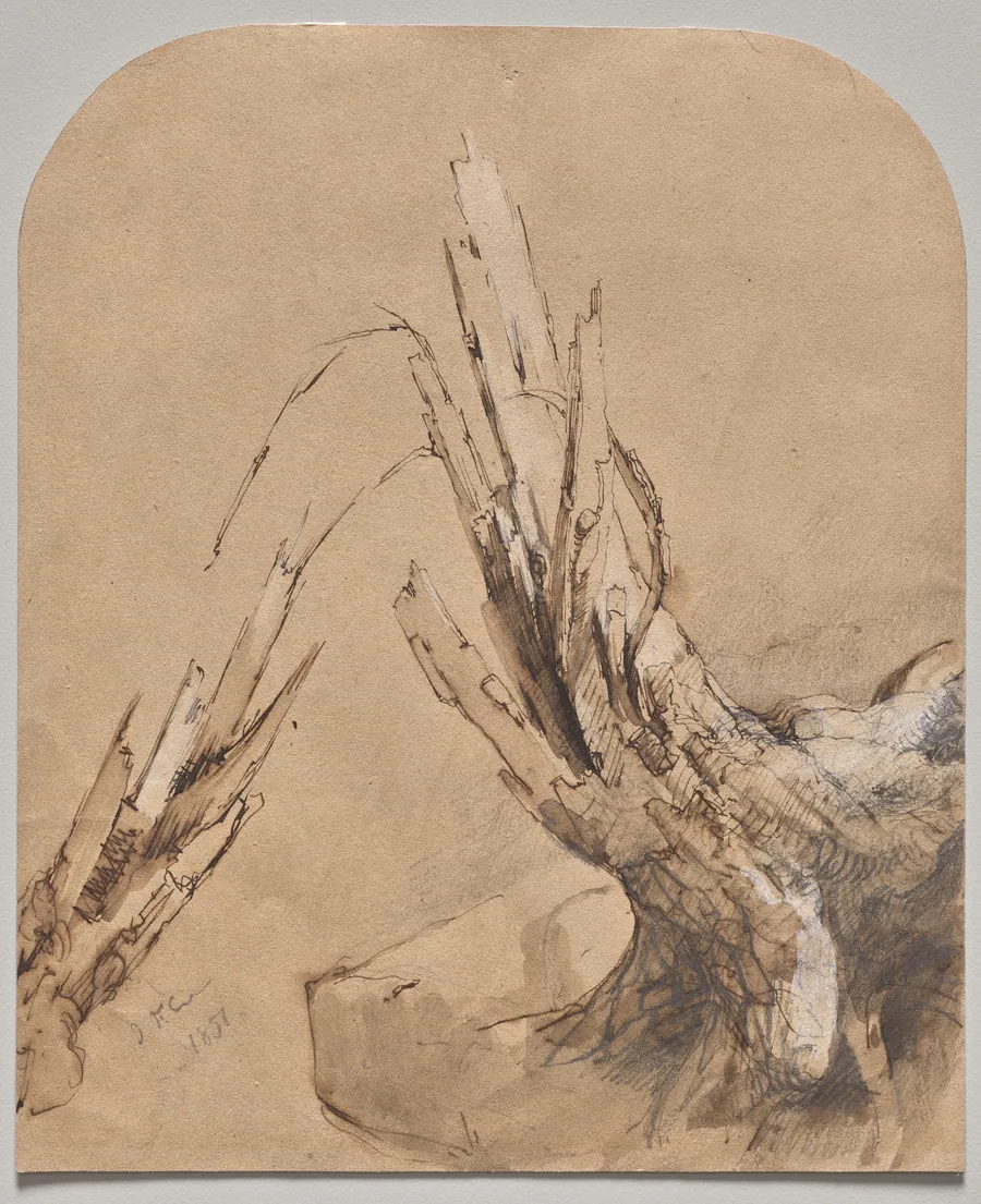 A Blasted Tree (recto) by Jasper F. Cropsey