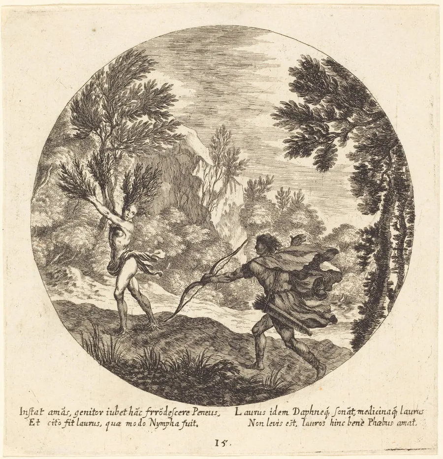 Daphne Turning to a Laurel by Georg Andreas Wolfgang the Elder