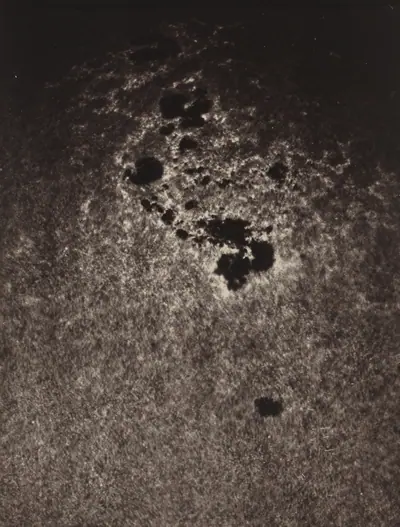 Untitled (Study of the Sun's Surface)
