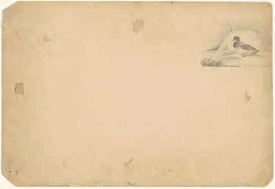 A Duck and a Stag [verso]
