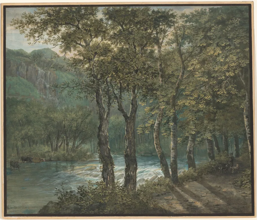 Sunlight Filtering through Trees along the River Sihl by Conrad Gessner