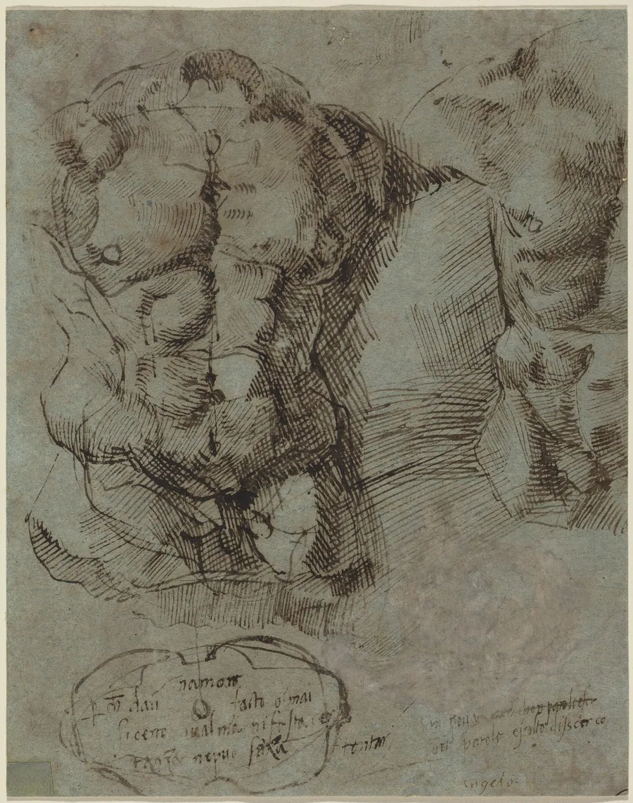 Studies of a Male Torso by Italian 16th Century
