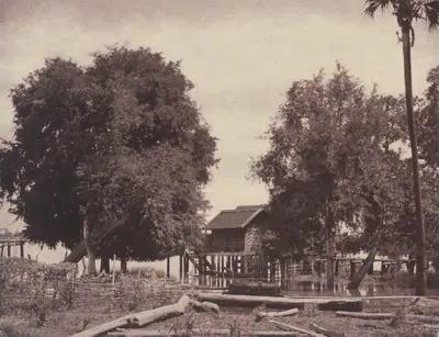 Tsagain Myo: View near the Irrawadi River