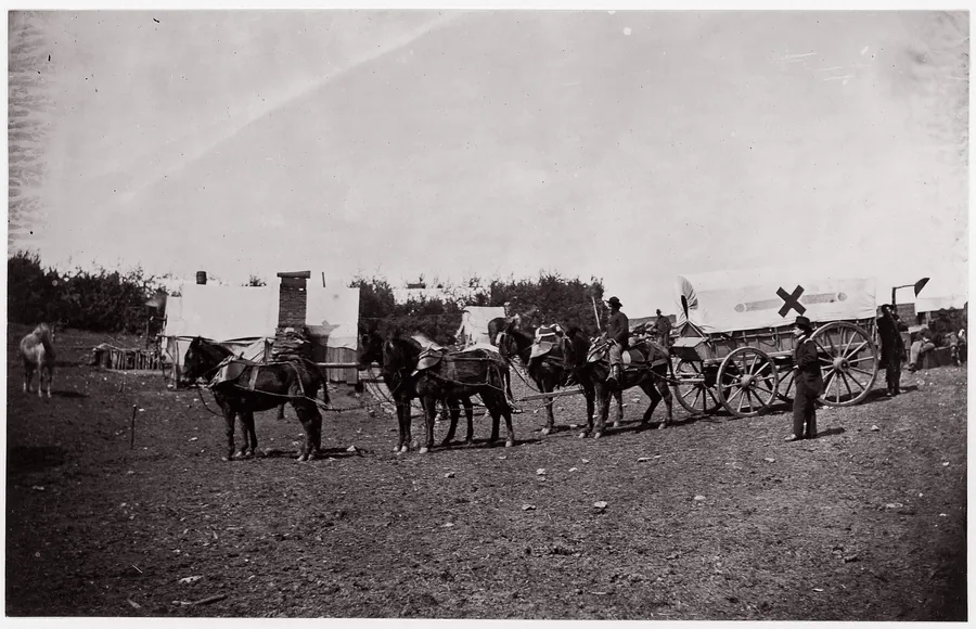 The Crack Team of the 1st Division, 6th Corps near Hazel River, Virginia by Mathew B. Brady