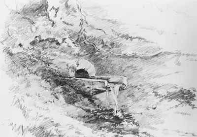 Nature Study