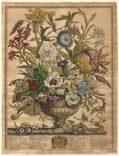 Twelve Months of Flowers: September