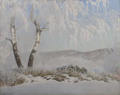 Rimfrost i sol