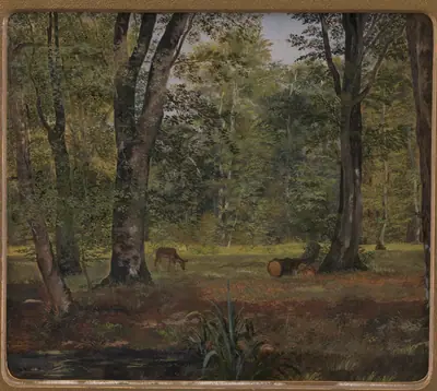 Fra Charlottenlund skov