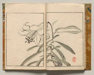 Lily, Design Seven from Shazanrō Picture Book