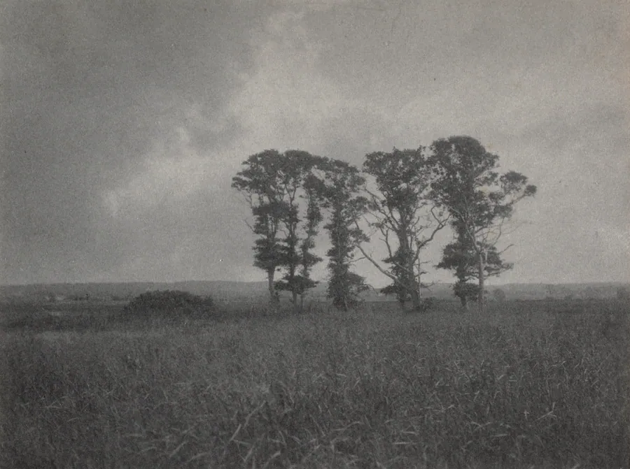 Untitled by William J. Mullins