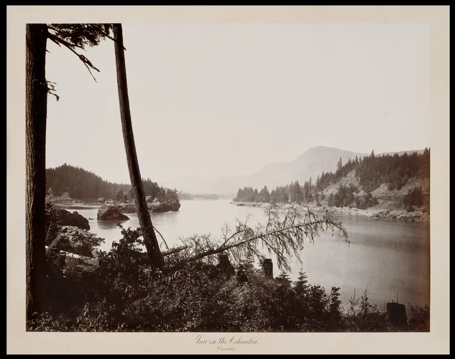 View on the Columbia, Cascades by Carleton E. Watkins