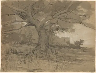 A Great Beech Tree at the Edge of a Wood