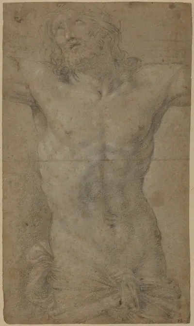 Torso of Christ on the Cross