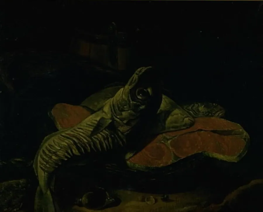 Fisk by Frans van (Jonkheer) Cuyck de Myerhop