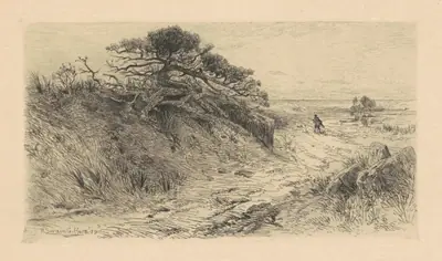 The Path to the Shore