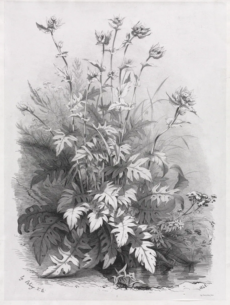 Groups of Various Plants Drawn After Nature:  No. 7 by Eugene Bléry