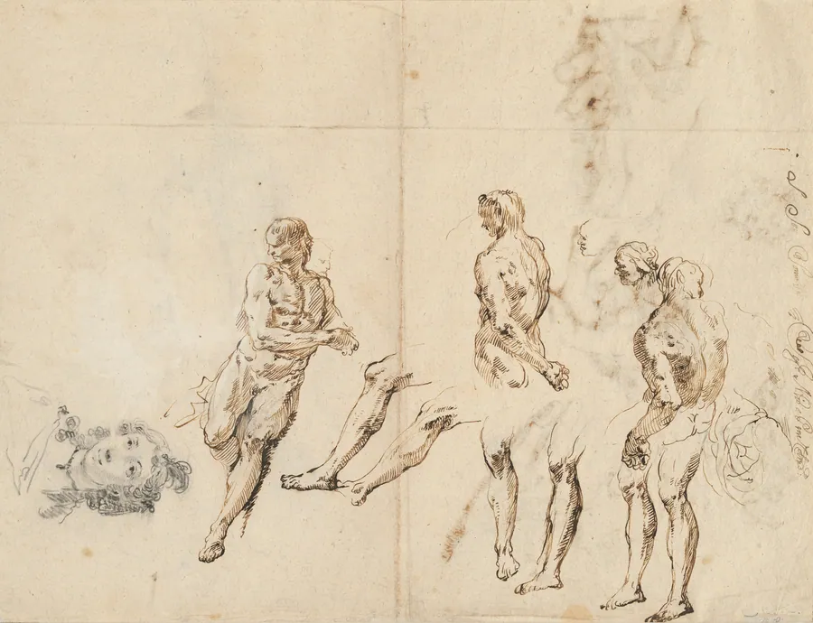 Head of a Woman and Studies of a Male Nude [verso] by Francesco Fontebasso