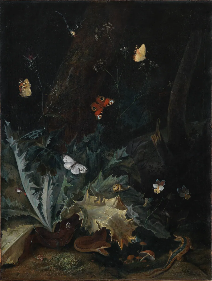 Skovbund med tidsel, en slange, et firben og sommerfugle by Otto Marseus van Schrieck