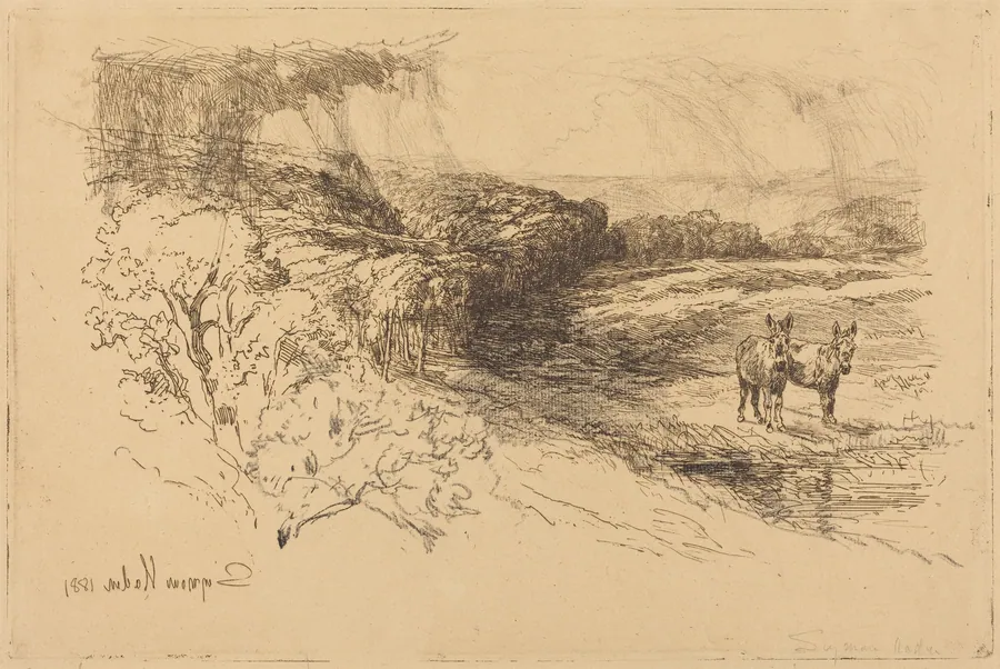 Encombe Woods (No.1) by Francis Seymour Haden