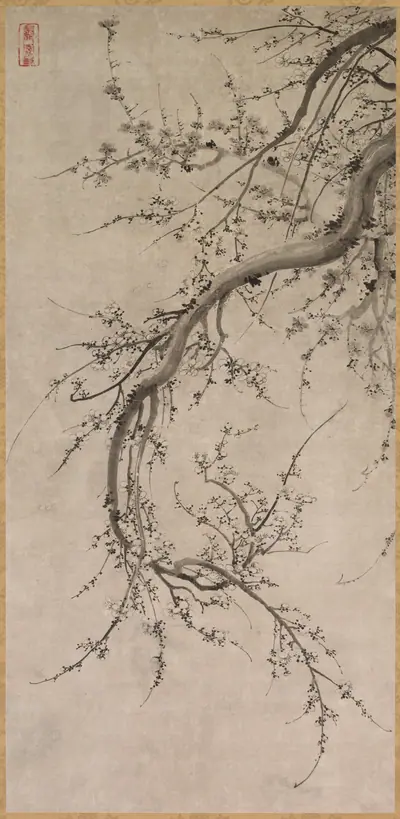 Prunus