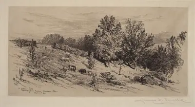 A Fallow Field