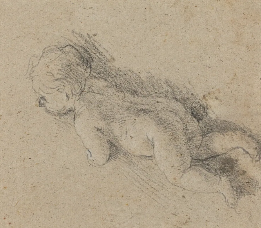 Baby [verso] by Baldassare Franceschini