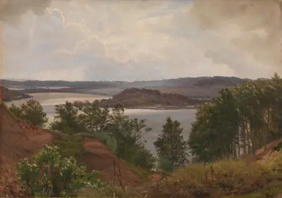 Ringholm ved Laven nær Silkeborg